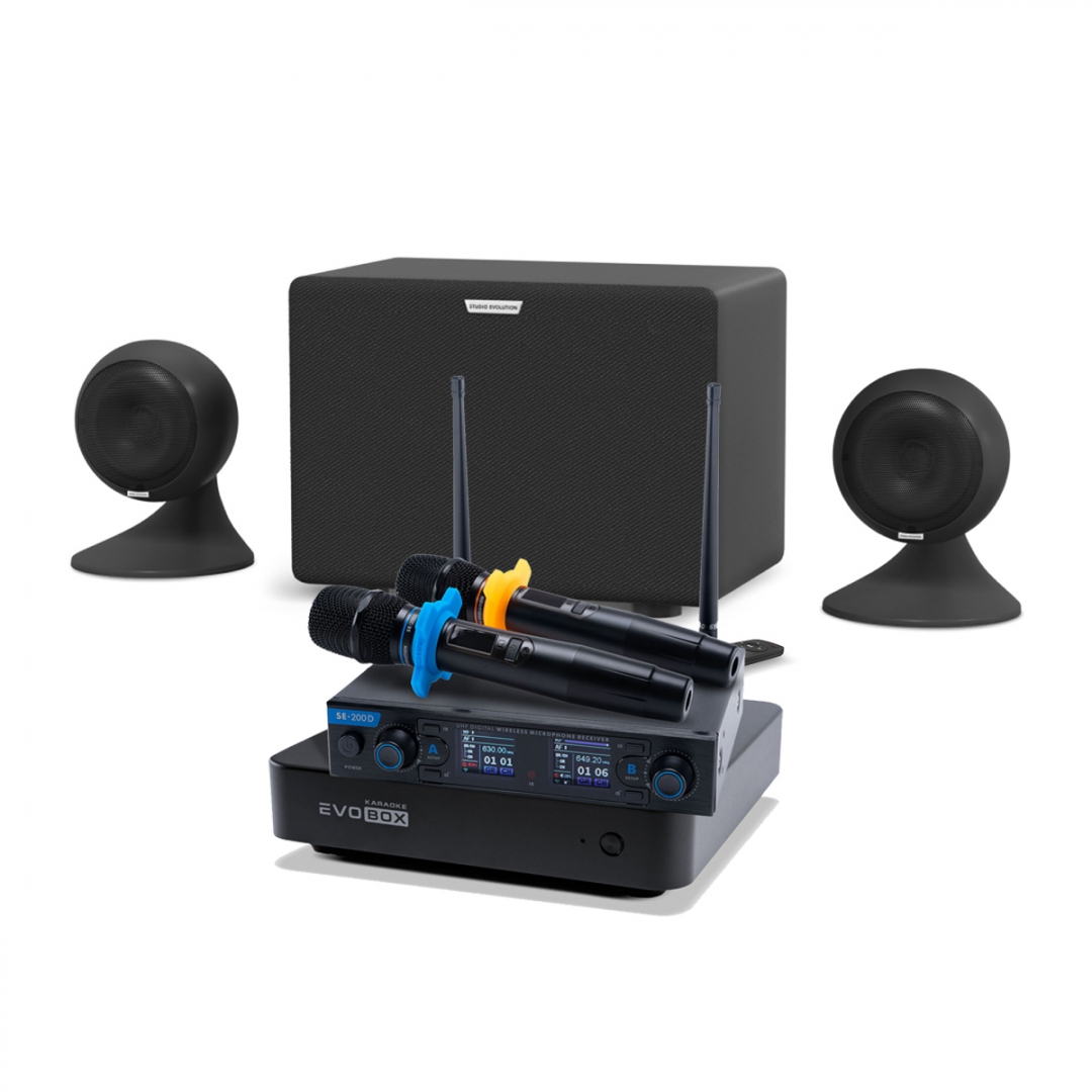 караоке-комплект EVOBOX + EvoSound Sphere 2.1 в Бузулуке