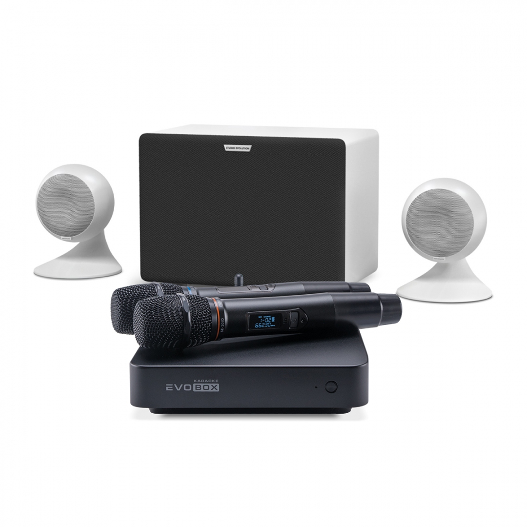 караоке-комплект EVOBOX Classic + EvoSound Sphere 2.1 в Бузулуке