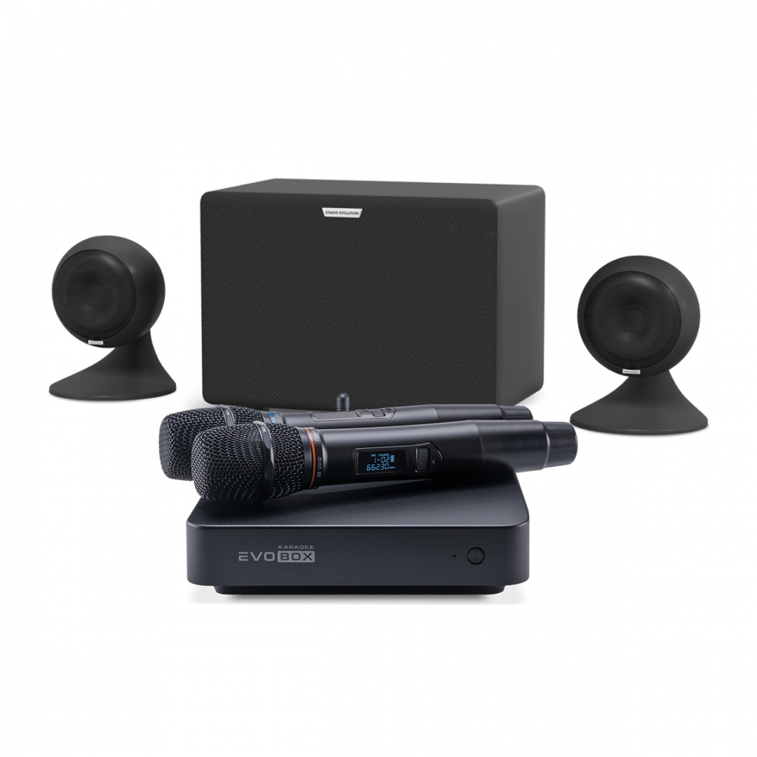 караоке-комплект EVOBOX Plus + EvoSound Sphere 2.1 в Бузулуке