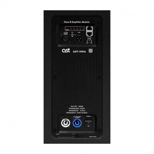 Активная акустическая система AST-310A в Бузулуке