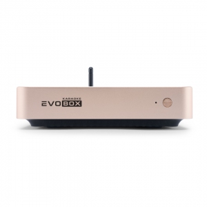 EVOBOX Plus караоке-система для дома в Бузулуке