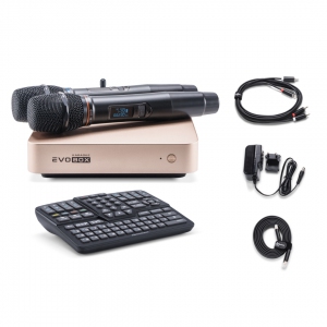EVOBOX Plus караоке-система для дома в Бузулуке